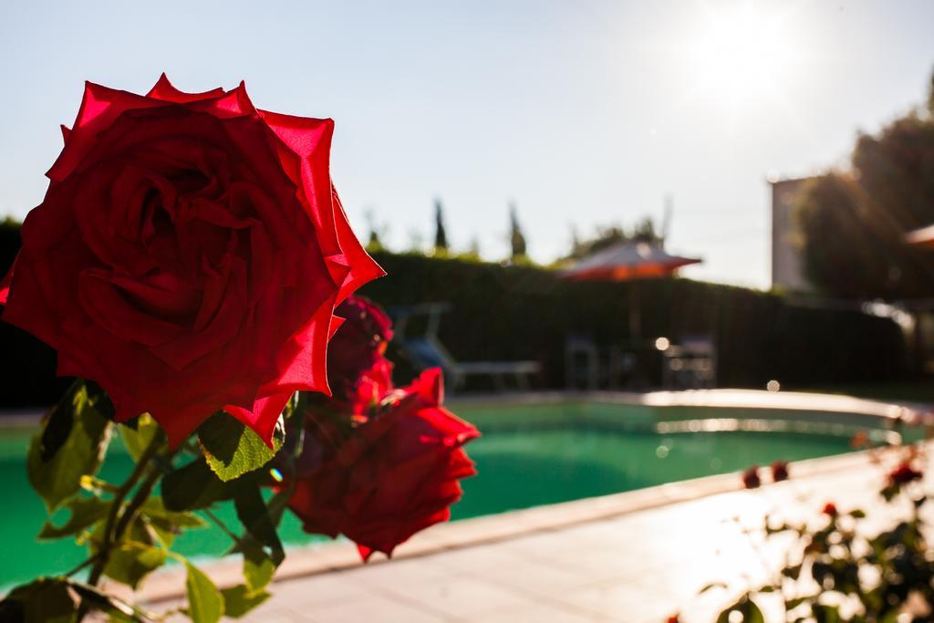 Apartament Casa Biagiotti Cortona Pokój zdjęcie