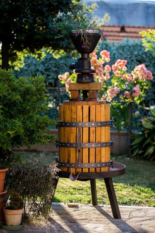 Apartament Casa Biagiotti Cortona Pokój zdjęcie